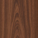 Echo Chestnut