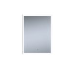 Aster - Image 2